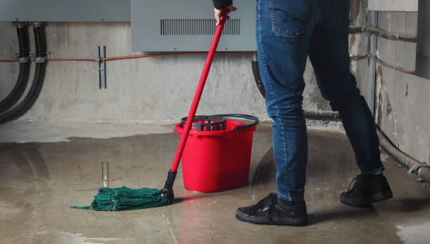 Best Local water damage restoration  in Point Clear, AL