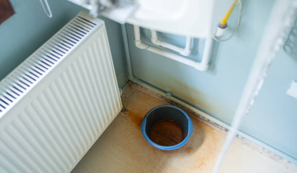 Best Ceiling water damage repair  in Point Clear, AL