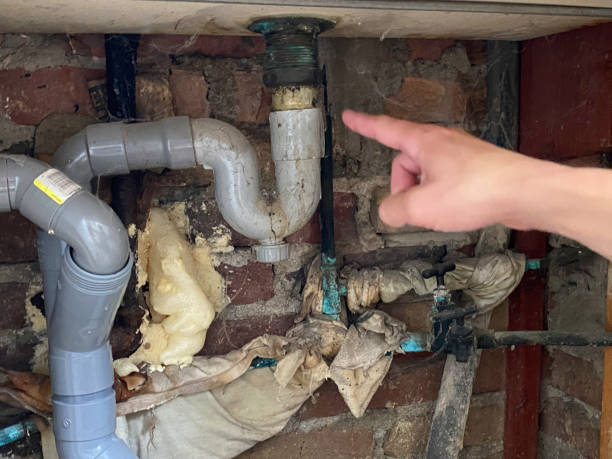 Reliable Point Clear, AL Water damage restoration Solutions