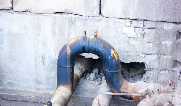 Best Carpet water damage restoration  in Point Clear, AL